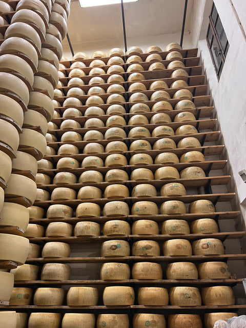 Our Parmesan Production